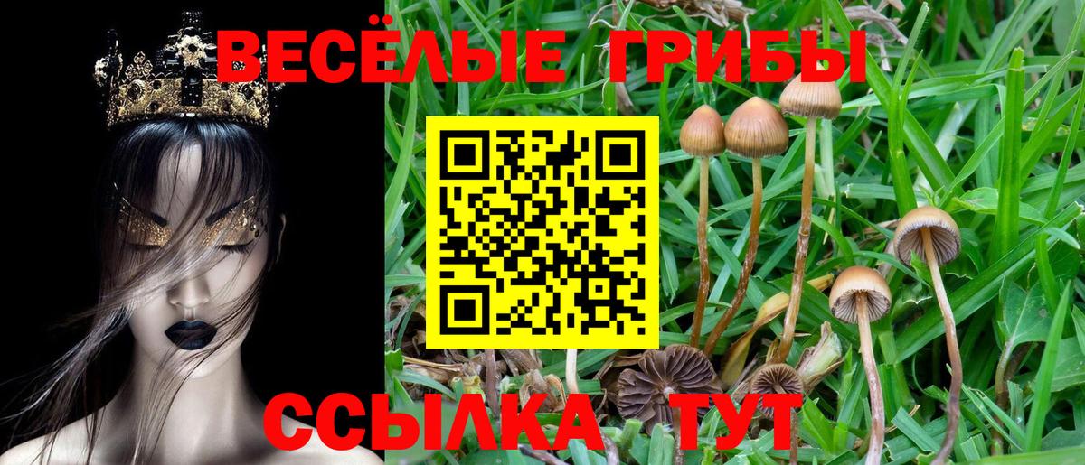 Псилоцибиновые грибы Cubensis  Вход с VPN  Уварово 