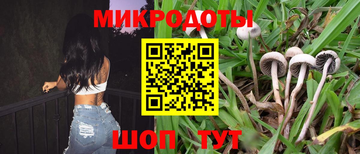 Псилоцибиновые грибы GOLDEN TEACHER Уварово